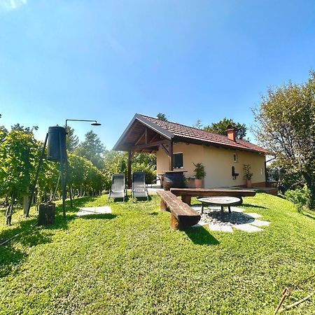 Holiday House Tomajna Podlehnik Bagian luar foto