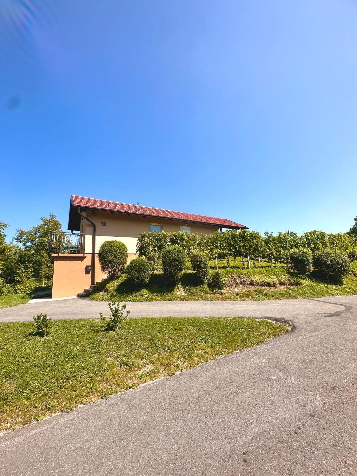 Holiday House Tomajna Podlehnik Bagian luar foto